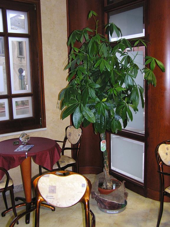 Hotel Mistral Портоскузо Экстерьер фото